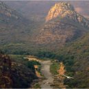 응수농장 이미지