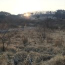 물미 농장 이미지