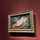 용산-현장-1649 | 「합스부르크 600년, 매혹의 걸작들」 전시 후기