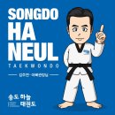 캐슬 태권도 체육관 이미지