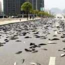 하늘1공인중개사사무소 이미지