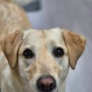 일품양평해장국 마산 합성점 이미지