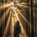 편백숲,쉼 | 강원 홍천 가리산 편백숲 1박2일 감성여행 후기