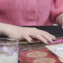 호 타로 이미지