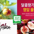 이경미농장 이미지