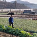 사등마을회관 이미지