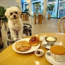 쁘니애견 | 애견동반 별채가 있어서 만족스러웠던 남양주 대형 카페 로이테