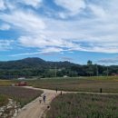 양항농장 이미지