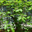 소사는집 이미지