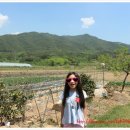 지리산나들이장터 상가 이미지