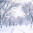 그대와 나 이미지