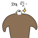 서프홀릭 이미지