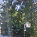 유수암상동경로당 이미지