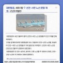 스카이플래티늄항공
