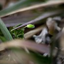 골프장둘레길 이미지