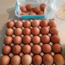 일진운수 이미지