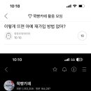 위시 엔위시 리쿠 유우시 시온 사쿠야 료 재희 이미지