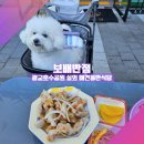 보배펫 | [광교호수공원 실내애견동반 식당_보배반점 광교포레나] 가을에는 짜장면을 먹겠어요