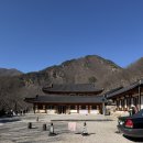 41190-01-07-199 | [충북] 2026 영동군 반야사 템플스테이 1박2일 추천 : 나를 돌보는 시간 (휴식형)