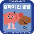 24시굿케어동물의료센터 | [관악구 동물병원] 강아지 간 종양 농양 간엽 절제 수술 전문 병원 24시 굿케어동물의료센터