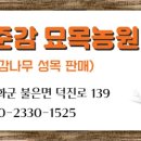 장준농장 네이버블로그