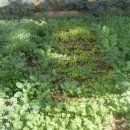 샬롬하우스 이미지