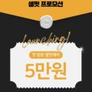 비타미스뷰