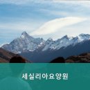 세실리아 요양원 | 추천 광주시 서구 요양원 세실리아요양원 영업시간 및 주차 정보