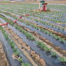 한얼농장 이미지