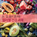 8월24일 뉴스브리핑 이미지