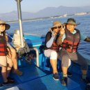 포유콘도 이미지