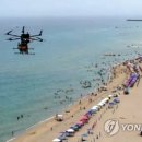 동해시-31 이미지