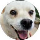 동식농장 이미지