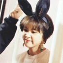 쎄시 이미지