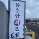 용수산 | 제주 동쪽 여행 필수 코스 🌊 바다 앞 '용수산회포장' 제철 딱새우 내돈내산