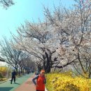 중랑천길 이미지