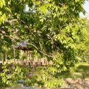 유당공원(주차장) 이미지