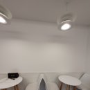마졸렌