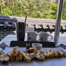 Cafe Forest (카페 포레스트) 네이버블로그