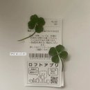 아지발바닥 | 이거 보면 행복해짐