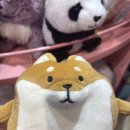 루 Daum카페