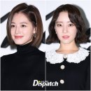 더포레헤어 이미지
