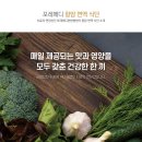 힐링요가 A팀 이미지