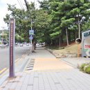 대한민국정육점