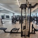 머슬서포트짐 삼봉점 이미지