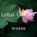 정원유기농 영농조합법인 이미지