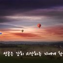 돈버는 \누나