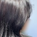 세종 나성동 미용실, 붉은기 잡아주는 브라운 염색후기 ‘세련헤어’