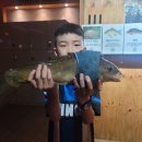 죠스실내낚시카페 이미지