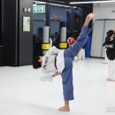 품태권도장 이미지